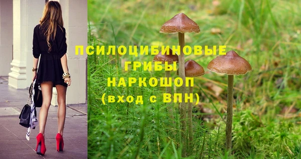 ПСИЛОЦИБИНОВЫЕ ГРИБЫ Нязепетровск