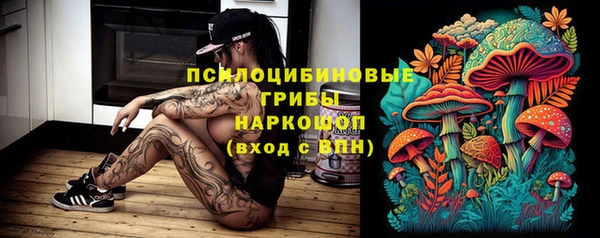 альфа пвп Няндома
