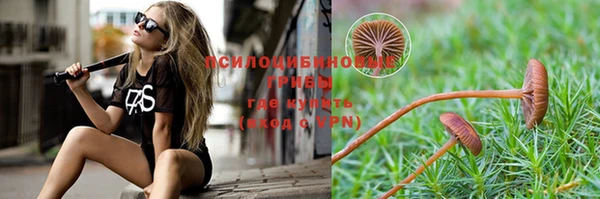 альфа пвп Няндома