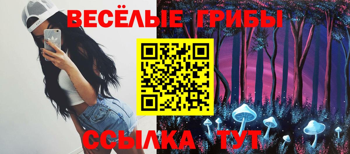 сколько стоит  Баксан  Псилоцибиновые грибы Psilocybe 