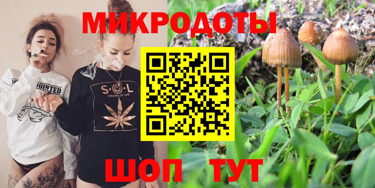 Псилоцибиновые грибы мицелий Баксан