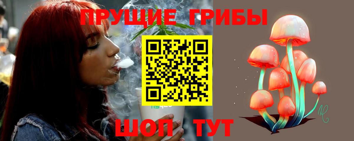 Баксан  Псилоцибиновые грибы прущие грибы  Галлюциногенные грибы Magic Shrooms  Вход с VPN 